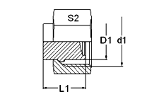 Male Connector