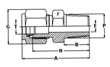 Male Connector