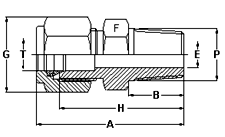 Male Connector