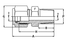 Male Connector